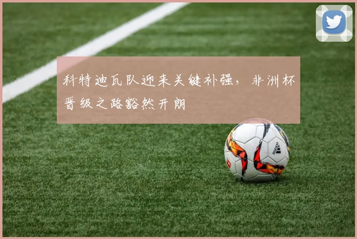 科特迪瓦队迎来关键补强，非洲杯晋级之路豁然开朗