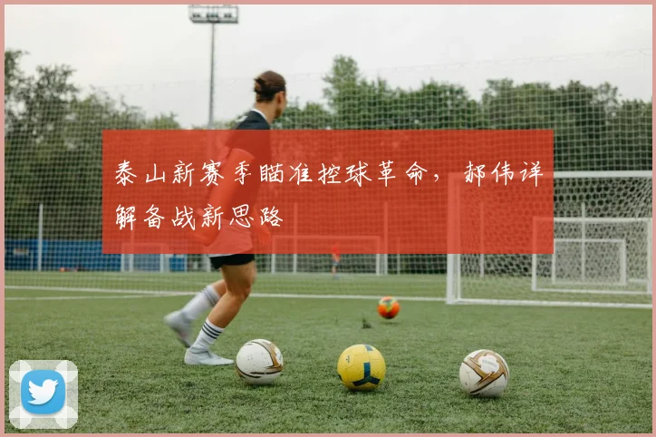 泰山新赛季瞄准控球革命，郝伟详解备战新思路